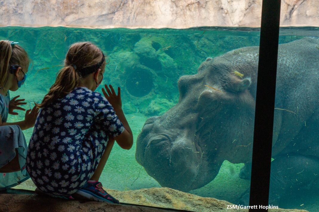 Hippo habitat 1